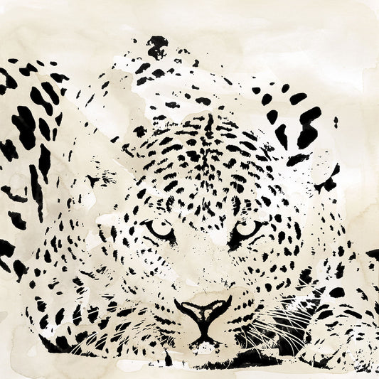 Framed - Leopard Spots IIi By Carol Robinson