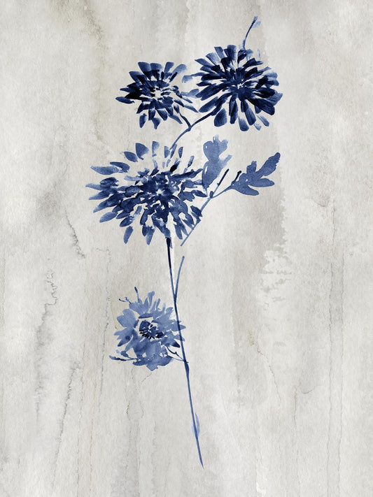 Framed - Indigo Botanical Iv By Conrad Knutsen