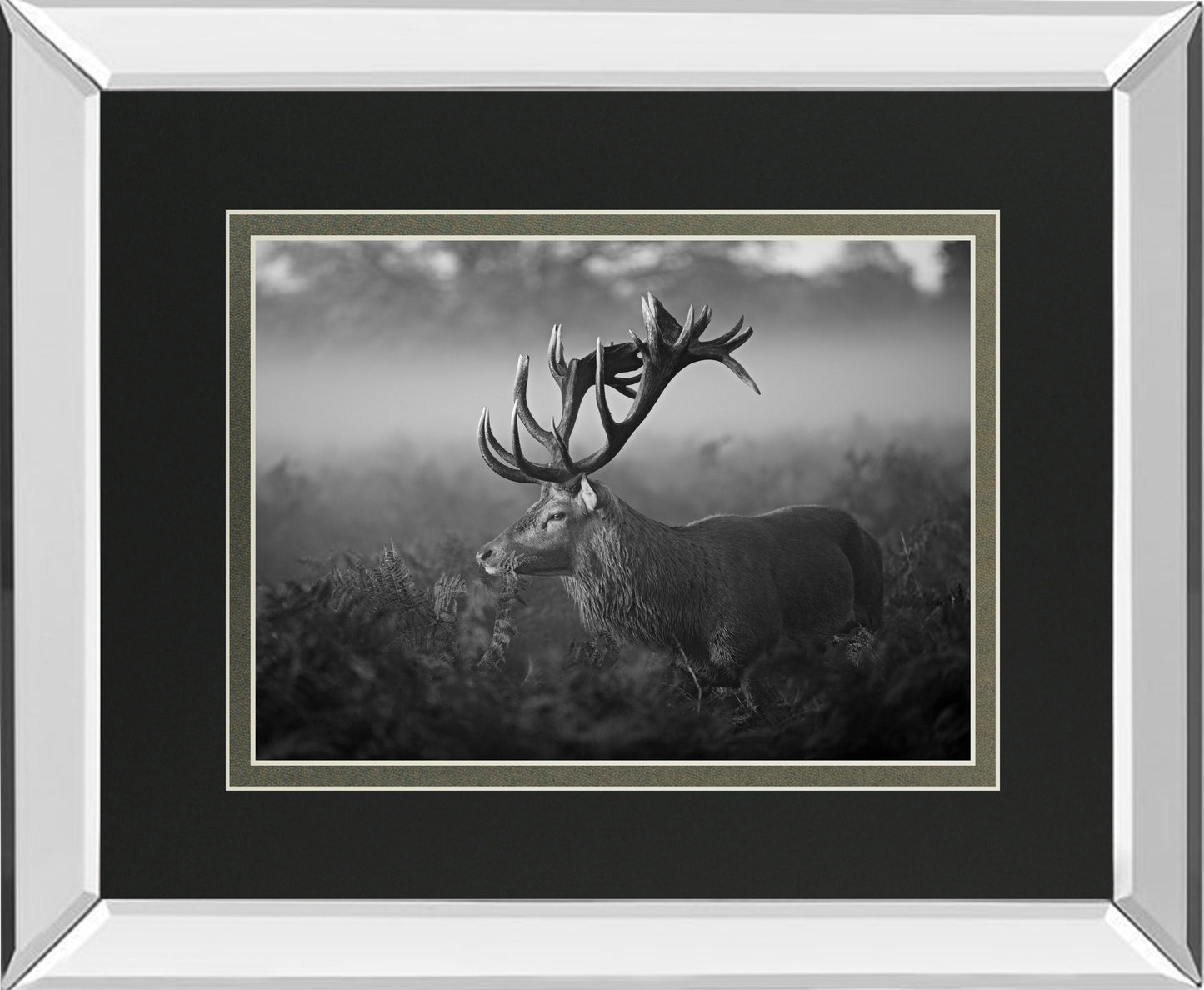 Sunny Morning By Fabrowski Mirrored Frame