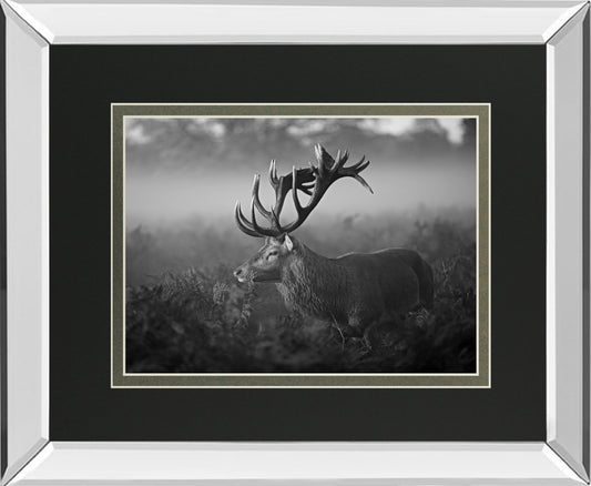 Sunny Morning By Fabrowski Mirrored Frame