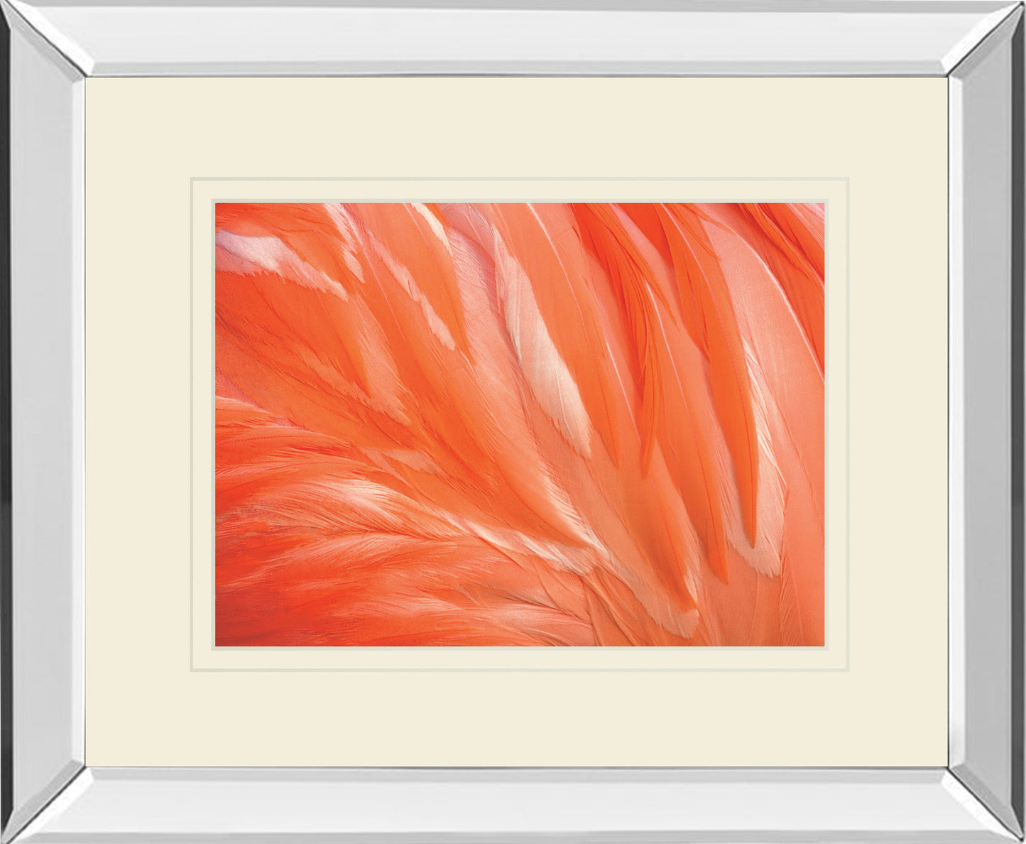 Danza De La Pluna By Ortegam X. Mirrored Frame