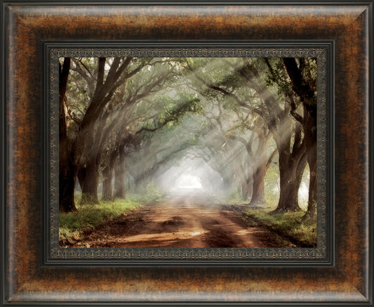Evergreen Planation By Mike Jones - Framed Print Wall Art