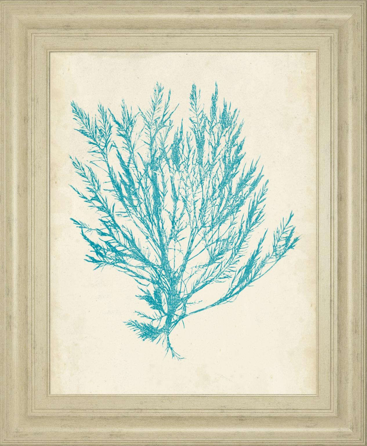 Aquamarine Seaweed IV By Vision Studio 22x26 - Light Blue