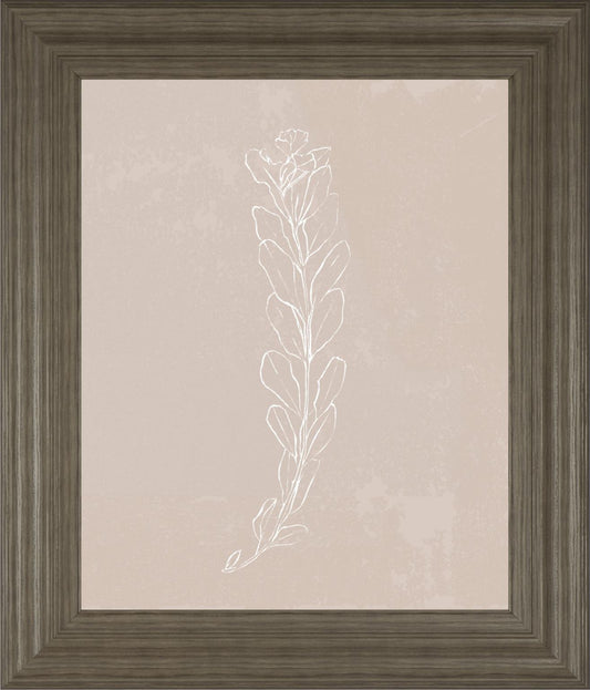 Blush Bloom II By Annie Warren 22x26 - Beige