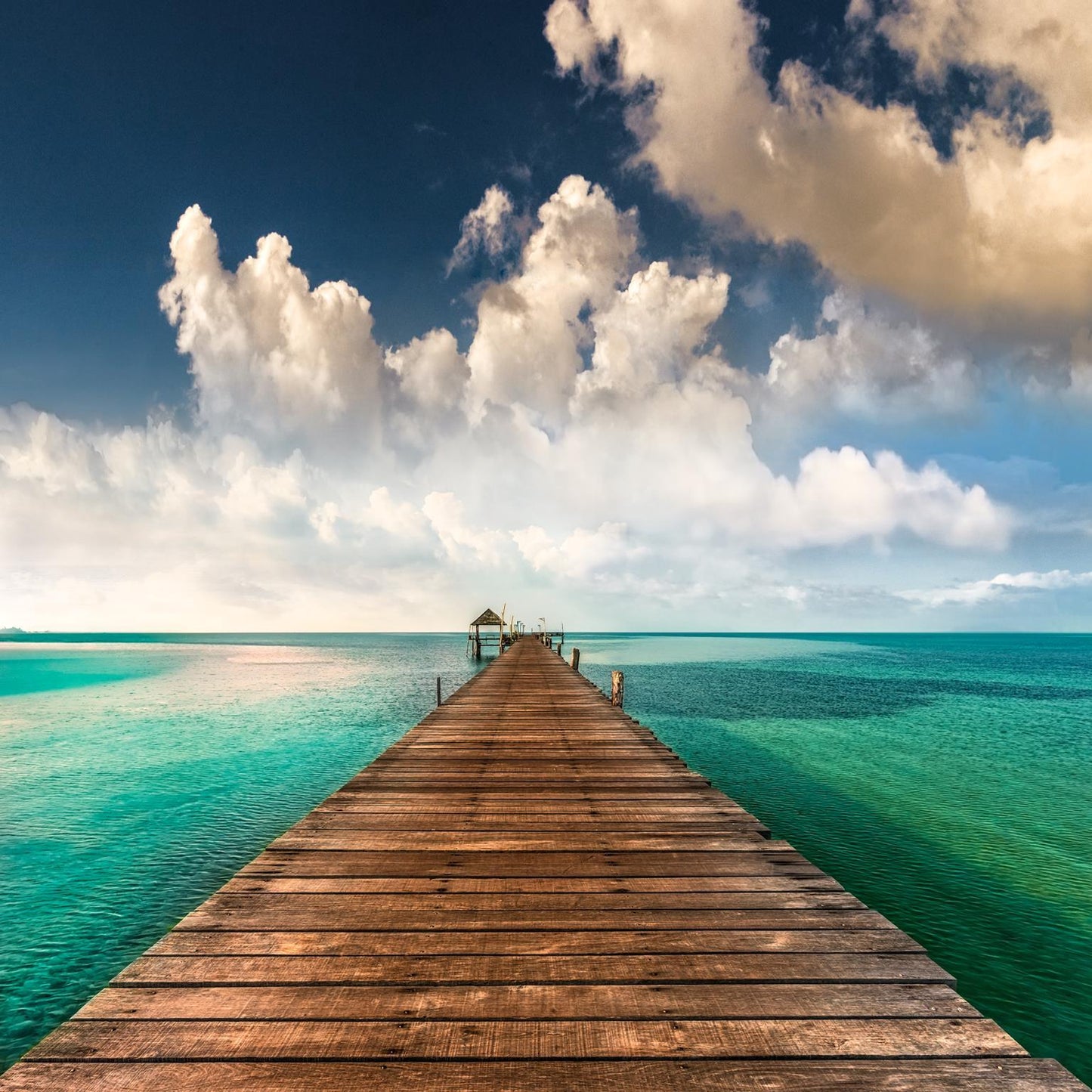 Framed Small - Tropic Blues By Mike Calascibetta