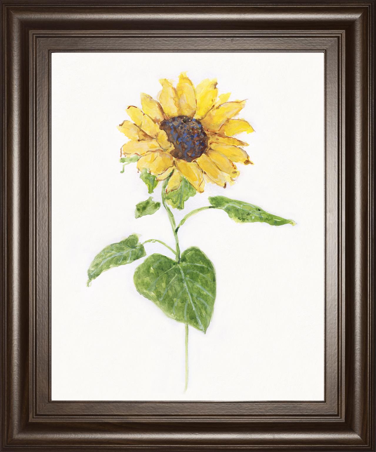 Sunflower I By Sally Swatland 22x26 - Yellow