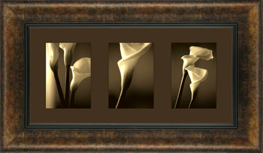 Divinity By Cinzia Ryan - Framed Print Wall Art