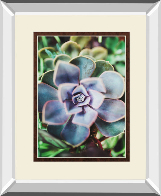 Succulence Beauty By Chelsea Kedron Mirrored Frame