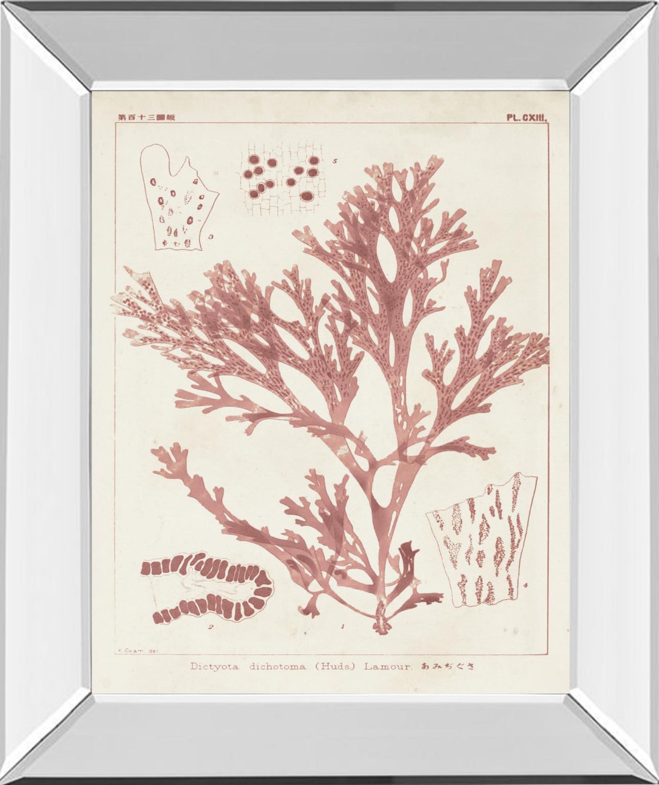 Antique Coral Seaweed I By Vision Studio - Pink