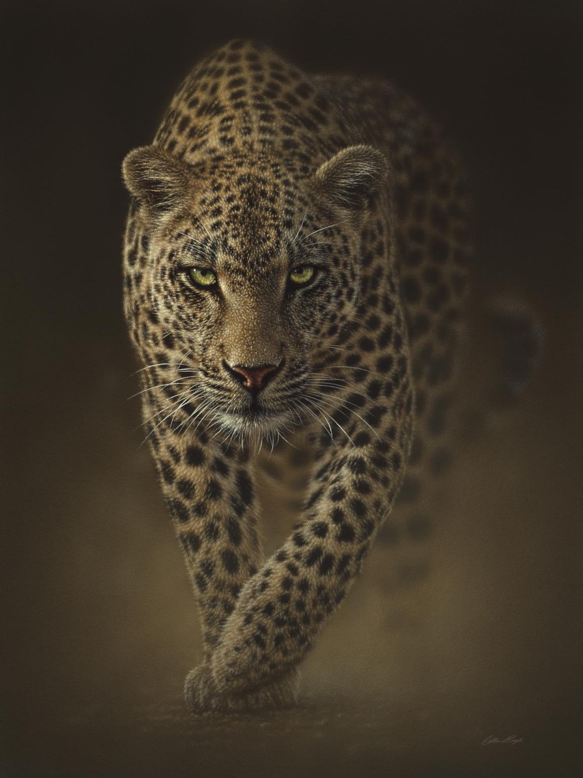 Small - Leopard By Collin Bogle