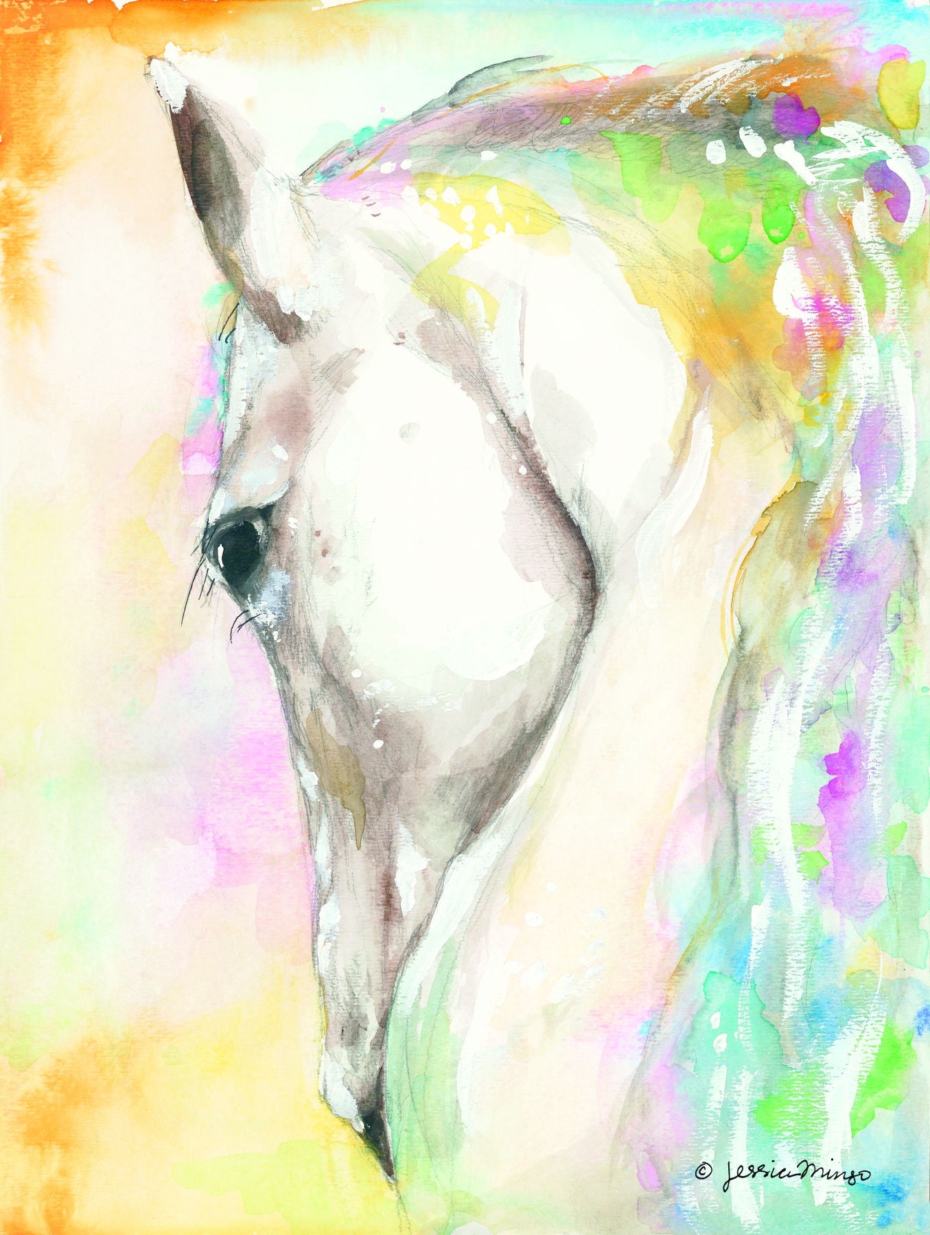 Framed - Sundance By Jessica Mingo