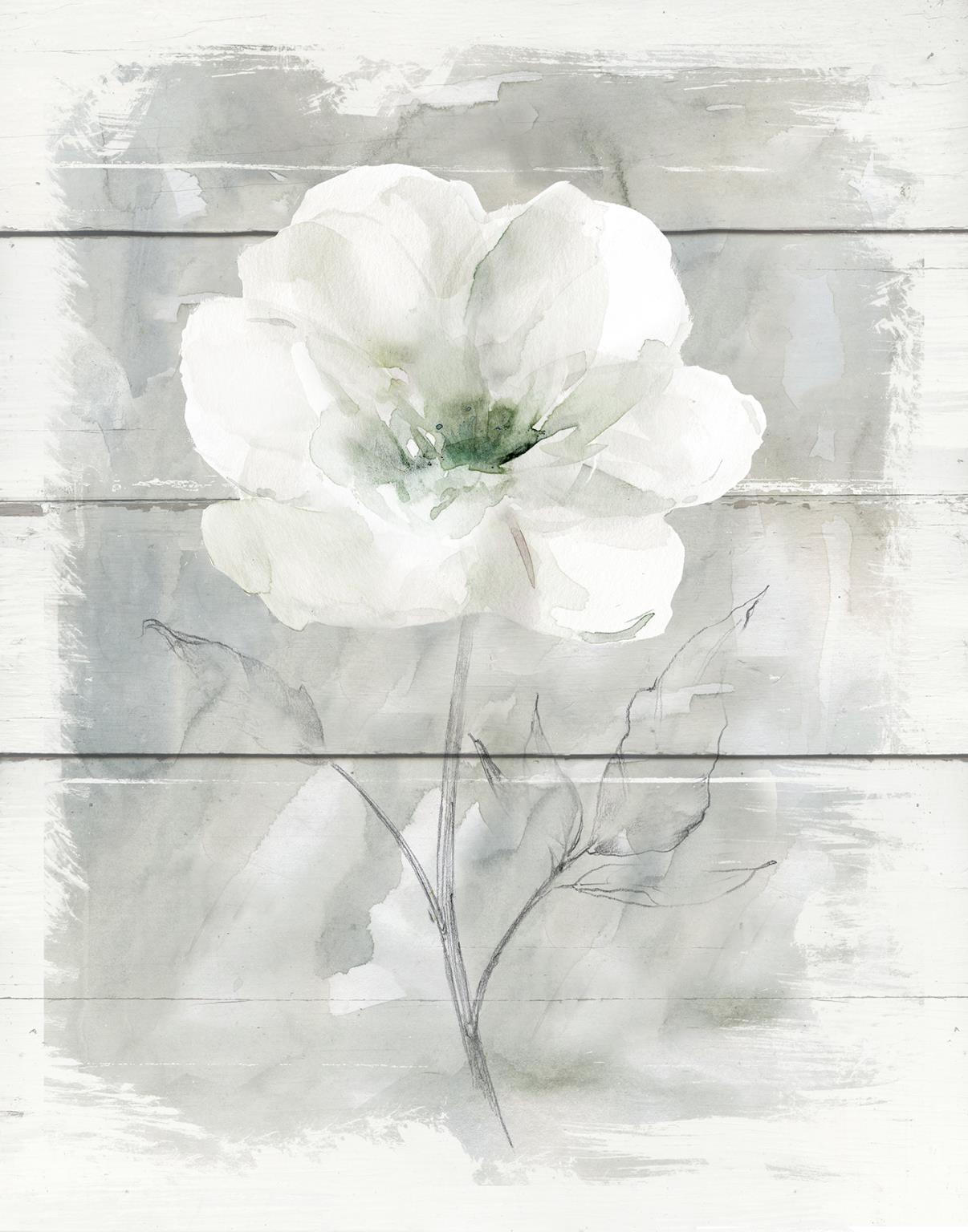 Small - Farmhouse Rose I By Carol Robinson