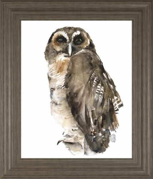 Watercolor Owl I By Jennifer Paxton Parker 22x26 - Dark Gray