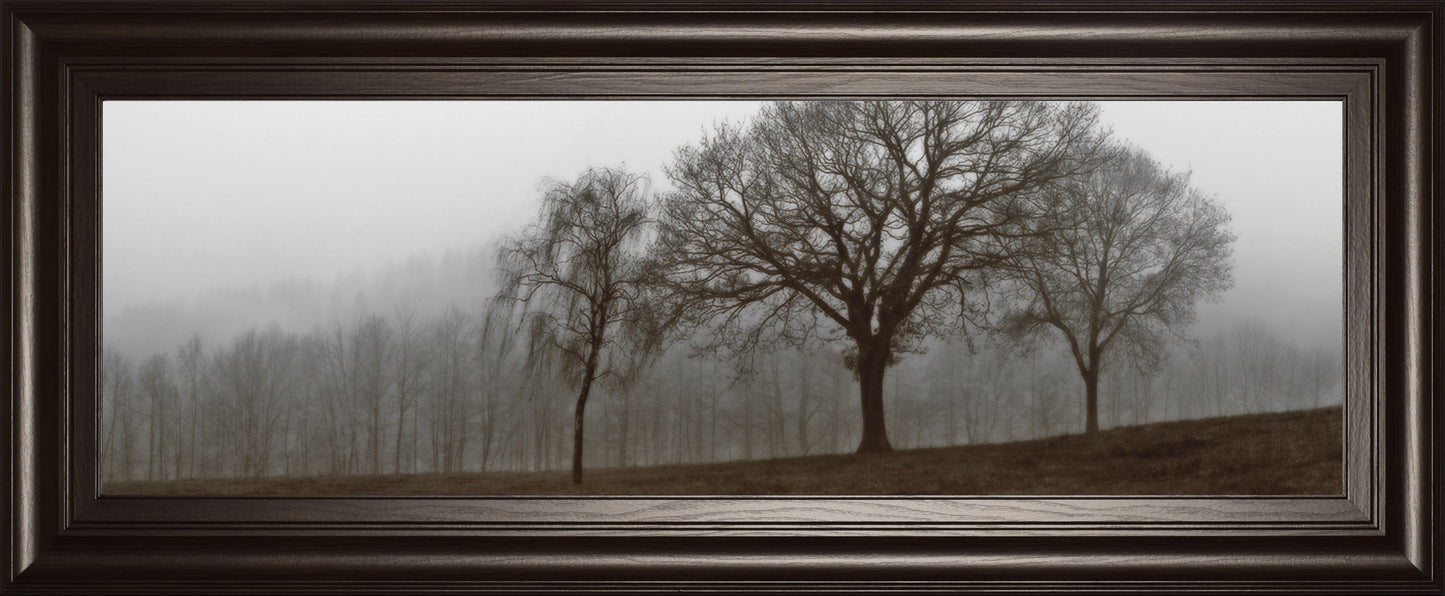 Autumn Fog By Szilagyi I. - Dark Gray