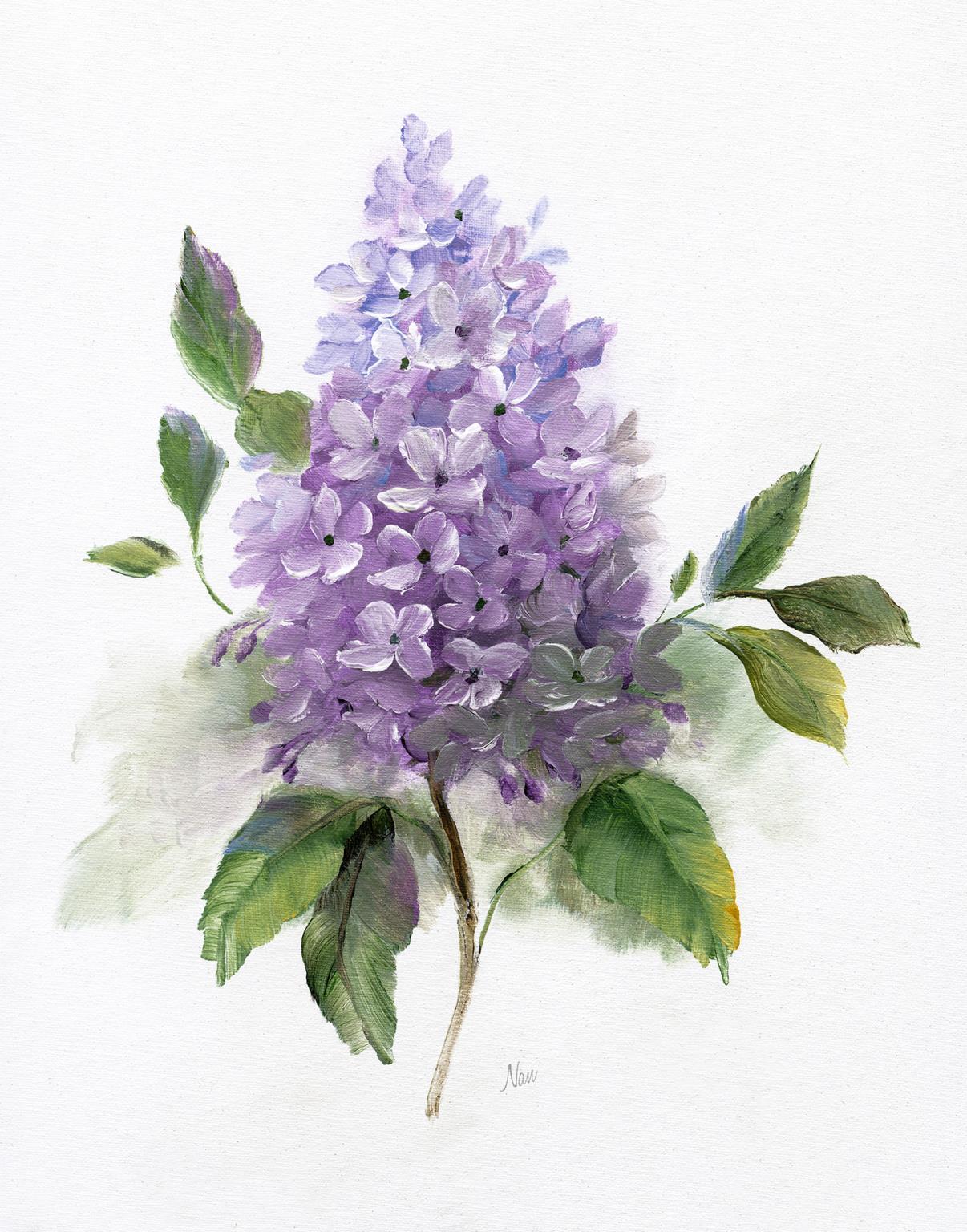 Small - Lilac Romance I By Nan